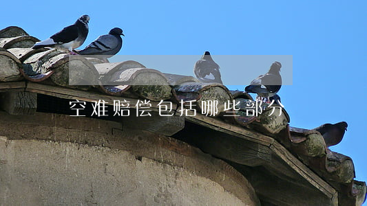 空难赔偿包括哪些部分