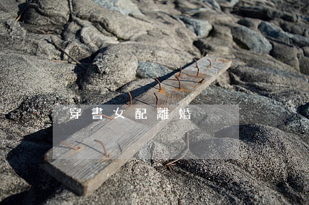 穿書女配離婚