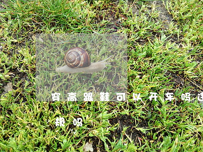 穿高跟鞋可以开车吗违法吗(穿高跟鞋开车违规吗)