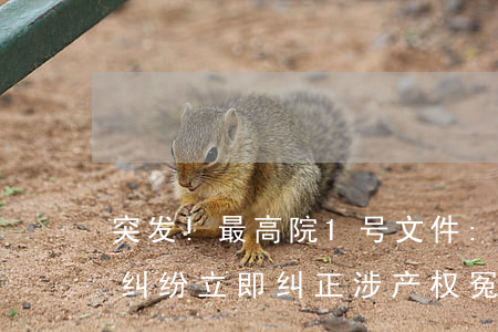 突发!最高院1号文件:严禁刑事干预经济纠纷,立即纠正涉产权冤错案