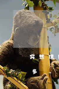 突然信用卡欠了好多錢-突然信用卡欠了好多錢