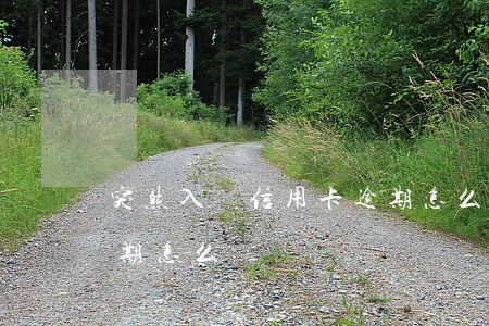 突然入獄信用卡逾期怎么辦(因服刑信用卡逾期怎么辦)