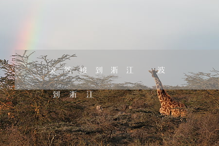 突然接到浙江寧波電話說我逾期了-老是接到浙江電話
