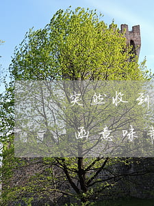 突然收到一份律師函應該怎么處理(收到律師函意味著什么)