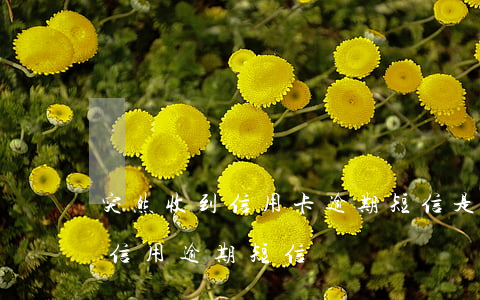 突然收到信用卡逾期短信是真的嗎(收到一條信用逾期短信)