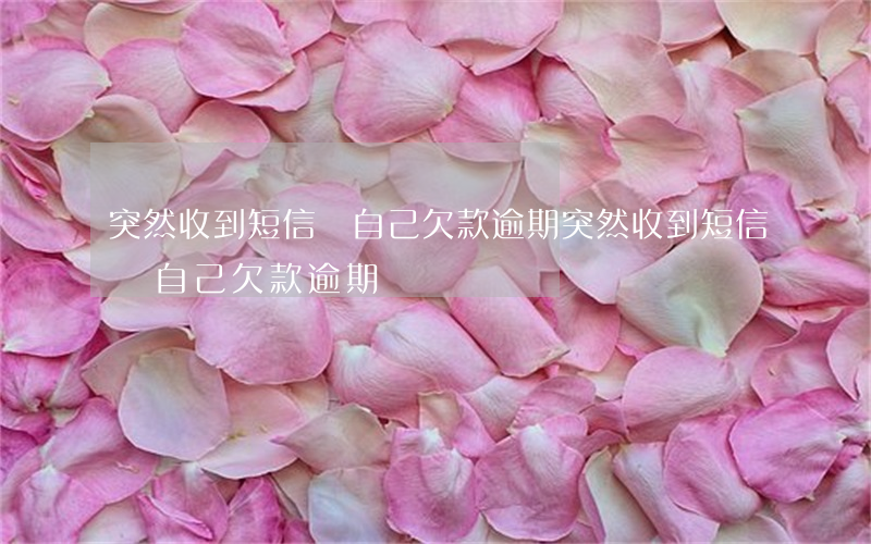 突然收到短信說自己欠款逾期(突然收到短信說自己欠款逾期)
