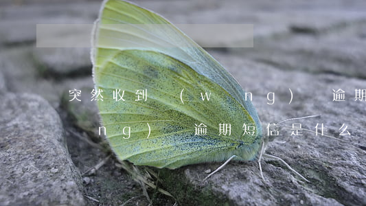 突然收到網(wǎng)貸逾期短信(網(wǎng)貸逾期短信是什么樣子的)