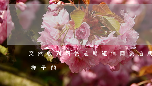 突然收到网贷逾期短信(网贷逾期短信是什么样子的)