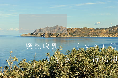 突然收到興業(yè)信用卡欠款逾期 拖欠興業(yè)銀行信用卡8500現(xiàn)在被起訴了該怎么辦