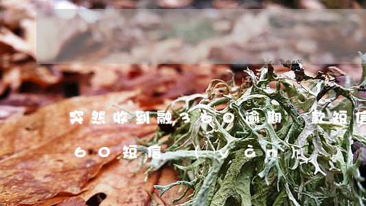 突然收到融360逾期貸款短信-收到融360短信驗(yàn)證碼