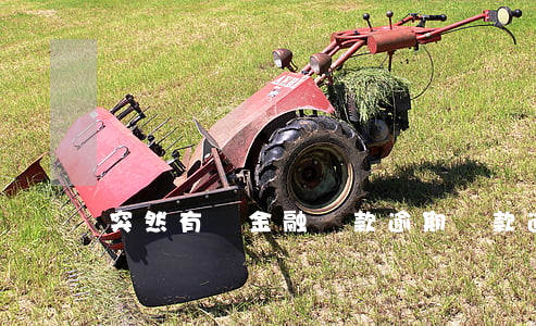 突然有個金融貸款逾期(貸款逾期后果)