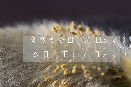 突然要去當(dāng)兵了分期樂還款怎么還-當(dāng)兵去了分期樂咋還