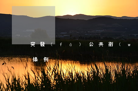 突發(fā)公共衛(wèi)生事件應急條例
