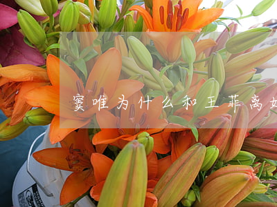 窦唯为什么和王菲离婚