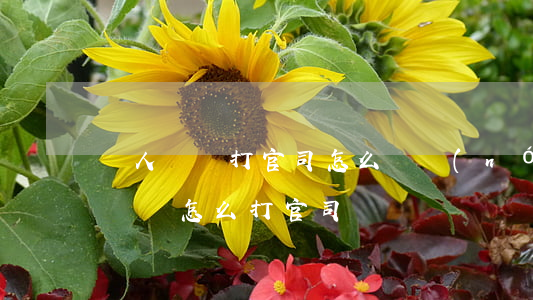 窮人沒錢打官司怎么辦(農(nóng)民工沒錢怎么打官司)