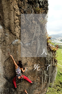 窮人請(qǐng)不起律師怎么辦(律師窮死了)