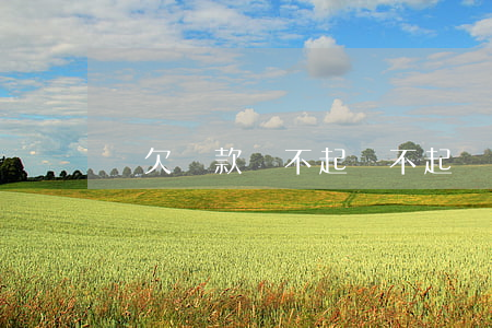 窮欠貸款還不起(還不起貸款叫什么)
