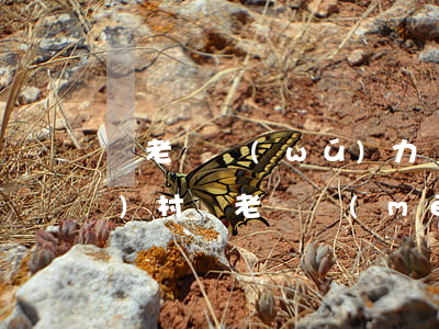 窮老漢無(wú)力償還視頻(農(nóng)村窮老漢沒(méi)錢(qián)坐車(chē)被抓)