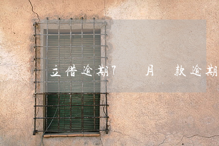 立借逾期7個月(貸款逾期七個月)