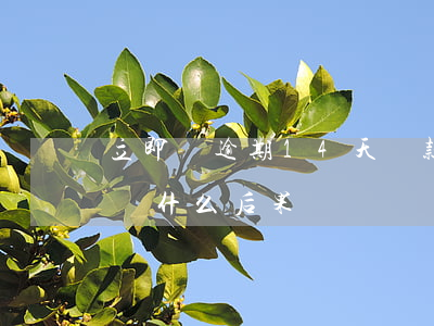 立即貸逾期14天還款后(即刻有貸款逾期不還什么后果)