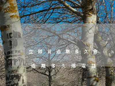立即貸逾期多久會(huì)被起訴 立即貸逾期多久爆電話