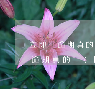 立即貸逾期真的會(huì)起訴嗎（立即貸逾期真的會(huì)起訴嗎）