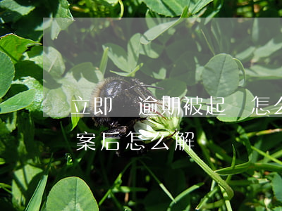 立即貸逾期被起訴怎么辦 貸款逾期被起訴立案后怎么解決