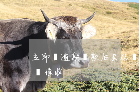 立即貸逾期還款后套路嗎(套路貸逾期多久放棄催收)