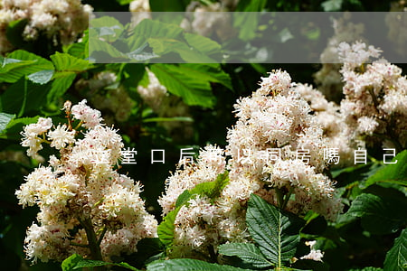 立堂口后可以同房嗎(自己可以立堂口嗎)