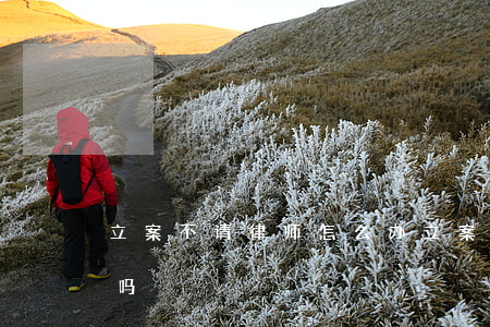 立案不请律师怎么办(立案不成功律师费能退吗)