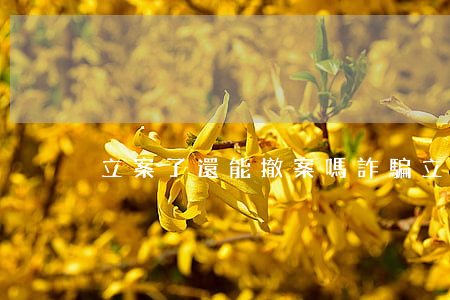 立案了還能撤案嗎(詐騙立案了還能撤案嗎)