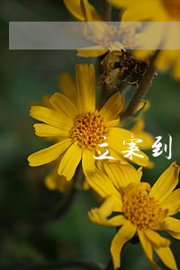 立案到開庭一般多久