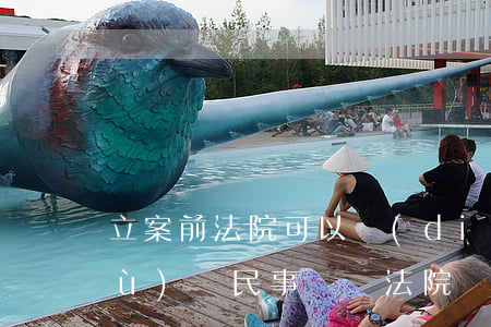 立案前法院可以調(diào)取證據(jù)嗎(民事訴訟法院調(diào)取證據(jù))