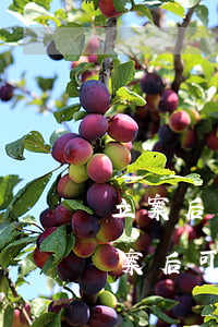 立案后可以增加訴訟請(qǐng)求嗎(立案后可以變更訴訟請(qǐng)求嗎)