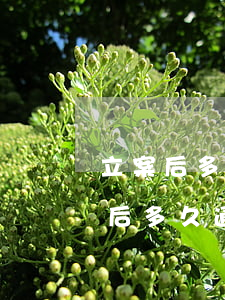 立案后多久通知調(diào)解(欠款立案后多久通知調(diào)解)
