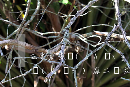 立案后多長(zhǎng)時(shí)間開(kāi)庭(二審立案后多長(zhǎng)時(shí)間開(kāi)庭)