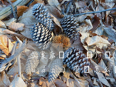 立案后發(fā)現(xiàn)無權(quán)管轄怎么處理