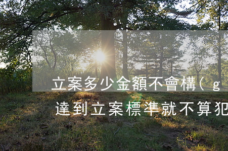 立案多少金額不會構(gòu)成犯罪(沒有達到立案標準就不算犯罪)