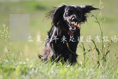 立案多年未处理还有效吗