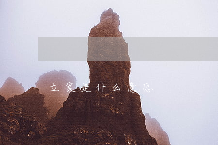 立案是什么意思