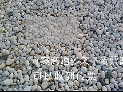 立案离婚多久下传票(离婚诉讼已经立案多久可以收到传票)