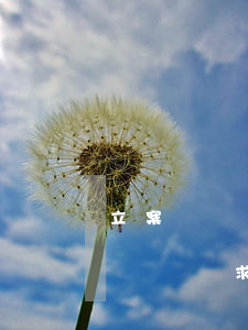 立案訴訟請求怎么寫(網(wǎng)上立案訴訟請求怎么填寫)