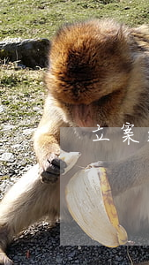立案追訴是啥意思（立案過追訴期撤案嗎）