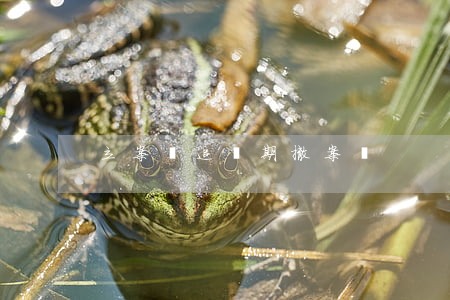立案過追訴期撤案嗎