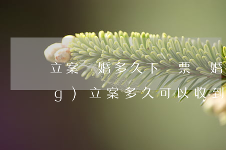 立案離婚多久下傳票(離婚訴訟已經(jīng)立案多久可以收到傳票)
