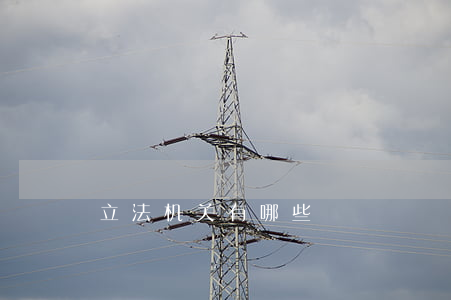 立法机关有哪些