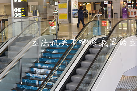 立法机关有哪些(我国的立法机关有哪些)