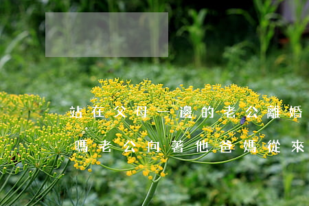 站在父母一邊的老公離婚會(huì)后悔嗎(老公向著他爸媽從來不考慮自己的感受要不要離婚)