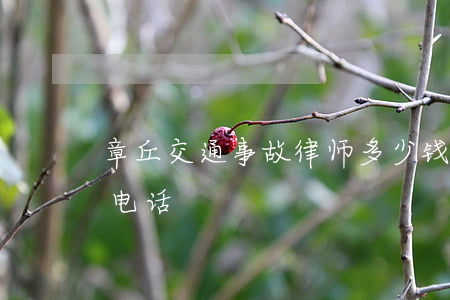 章丘交通事故律师多少钱(章丘律师免费咨询电话)