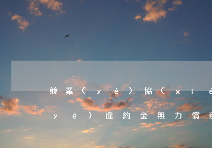 競業(yè)協(xié)議違約金（竟業(yè)違約金無力償還）